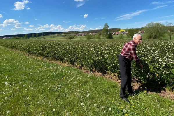 Hans Mausser auf der Aronia Alm