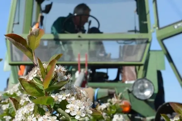 Pflege unserer Alm im Juni